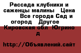 Рассада клубники и саженцы малины › Цена ­ 10 - Все города Сад и огород » Другое   . Кировская обл.,Югрино д.